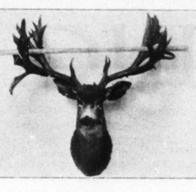 An illustration from Outdoor Life 1898-06: Vol 1 Iss 6, 1898, leaf 40