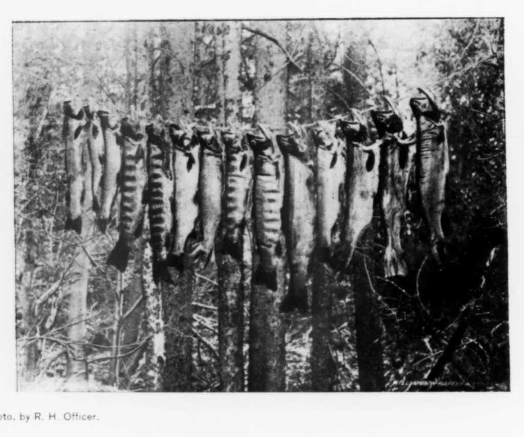 An illustration from Outdoor Life 1899-07: Vol 4 Iss 1, 1899, leaf 5