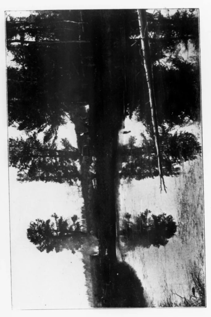 An illustration from Outdoor Life 1899-07: Vol 4 Iss 1, 1899, leaf 7