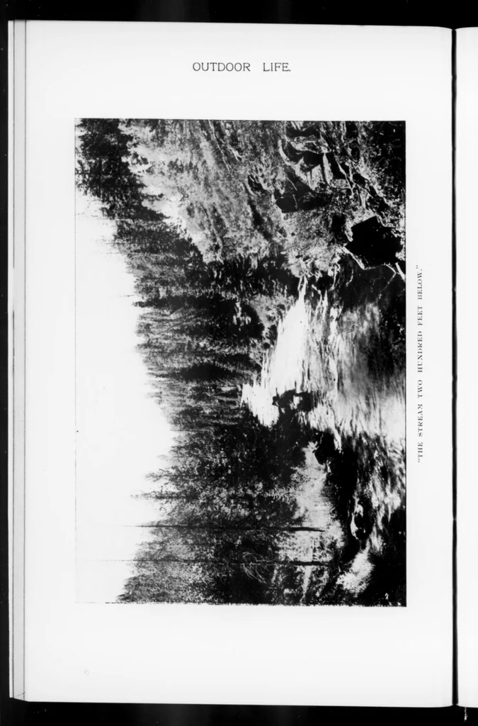 An illustration from Outdoor Life 1899-08: Vol 4 Iss 2, 1899, leaf 23