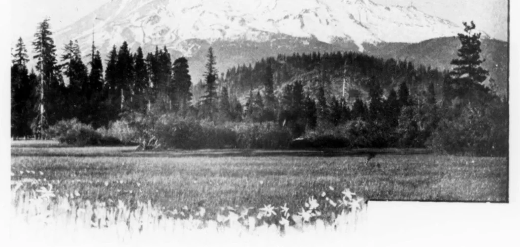 An illustration from Outdoor Life 1899-10: Vol 4 Iss 4, 1899, leaf 24
