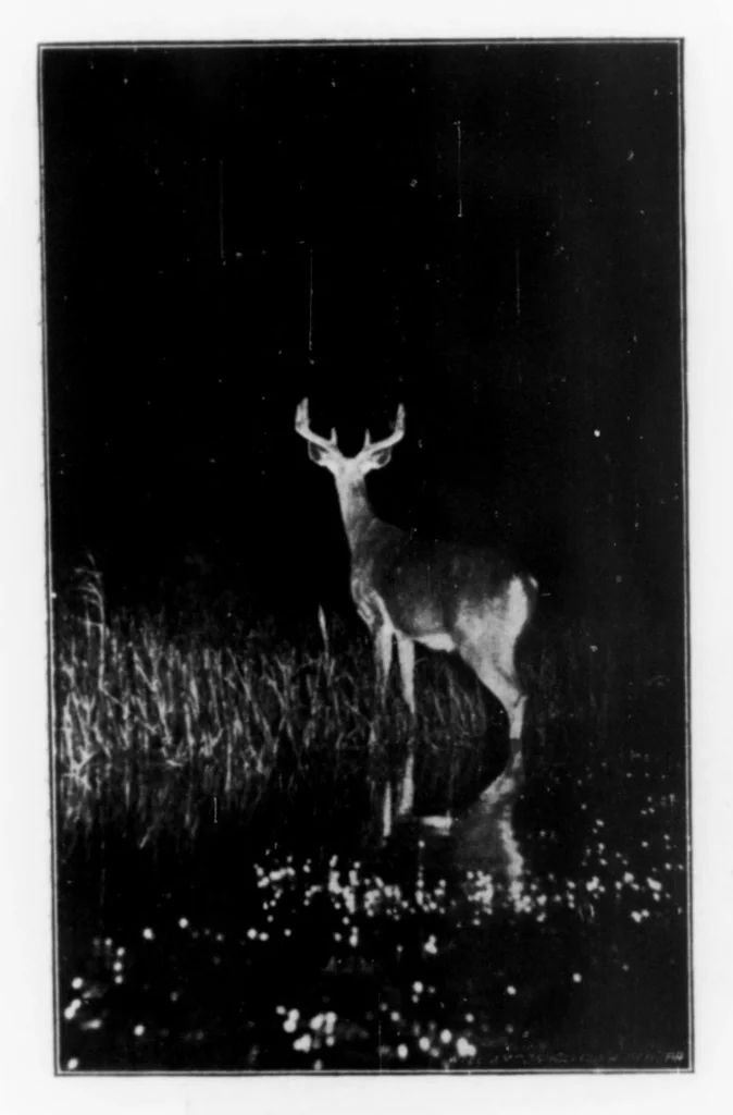 An illustration from Outdoor Life 1900-03: Vol 5 Iss 3, 1900, leaf 26