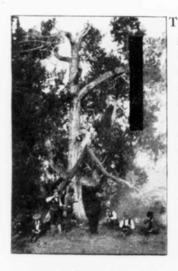 An illustration from Outdoor Life 1900-03: Vol 5 Iss 3, 1900, leaf 4