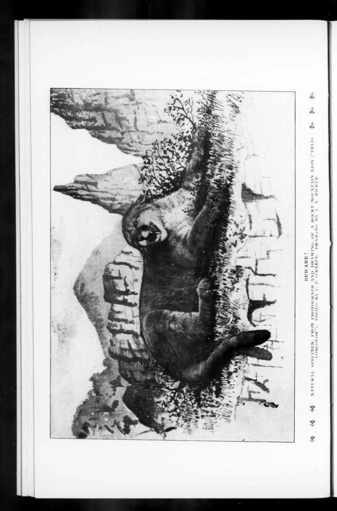 An illustration from Outdoor Life 1900-03: Vol 5 Iss 3, 1900, leaf 9