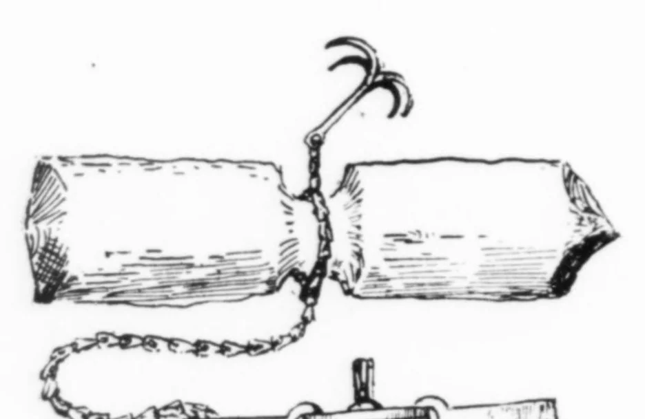 An illustration from Outdoor Life 1900-08: Vol 6 Iss 2, 1900, leaf 11