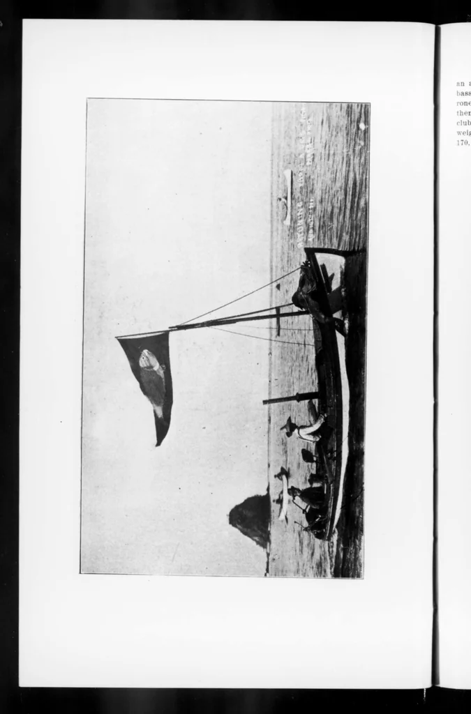 An illustration from Outdoor Life 1900-12: Vol 6 Iss 6, 1900, leaf 7