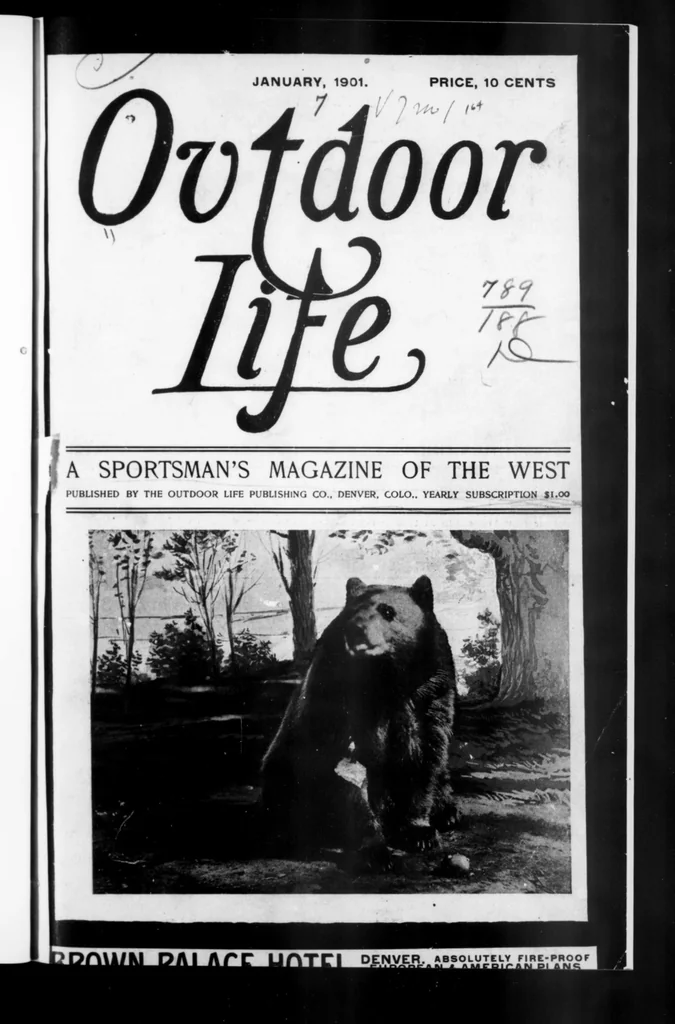 An illustration from Outdoor Life 1901-01: Vol 7 Iss 1, 1901, leaf 0