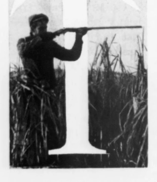 An illustration from Outdoor Life 1901-01: Vol 7 Iss 1, 1901, leaf 15