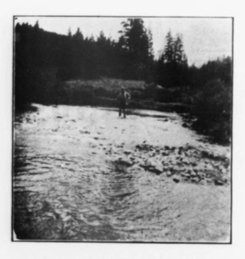 An illustration from Outdoor Life 1901-01: Vol 7 Iss 1, 1901, leaf 5