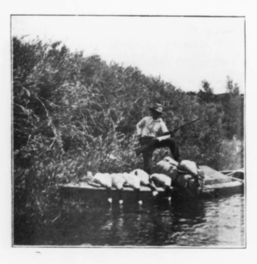 An illustration from Outdoor Life 1901-05: Vol 7 Iss 5, 1901, leaf 51