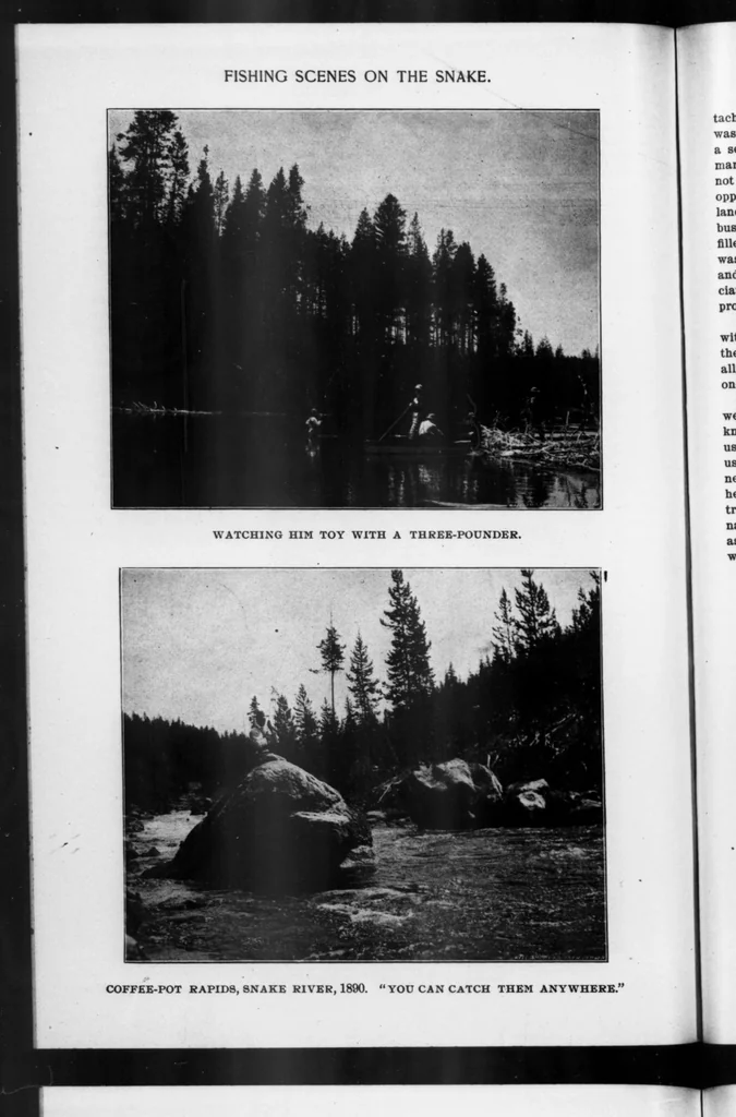 An illustration from Outdoor Life 1901-06: Vol 7 Iss 6, 1901, leaf 27