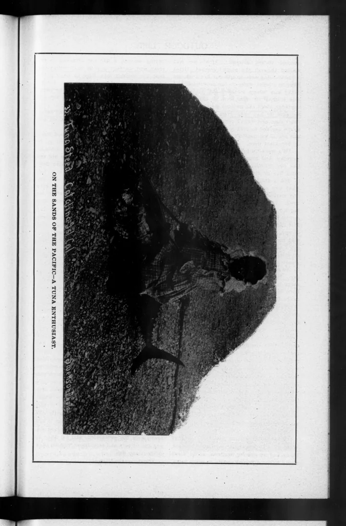An illustration from Outdoor Life 1901-06: Vol 7 Iss 6, 1901, leaf 44