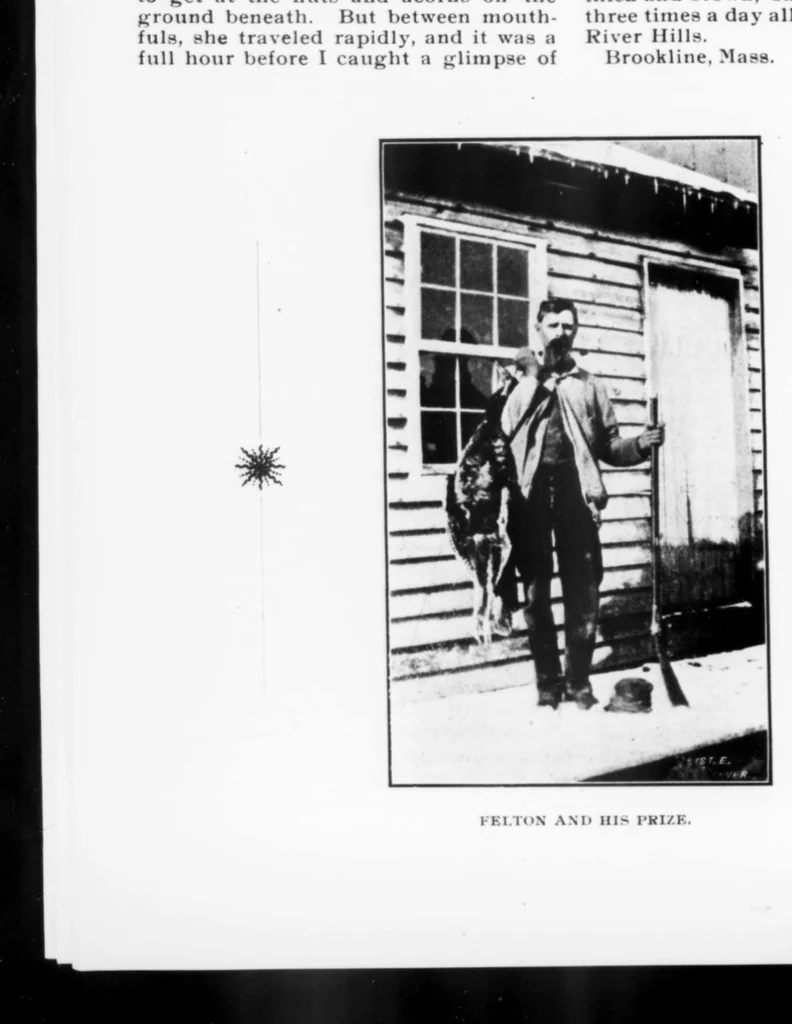 An illustration from Outdoor Life 1901-07: Vol 8 Iss 1, 1901, leaf 13