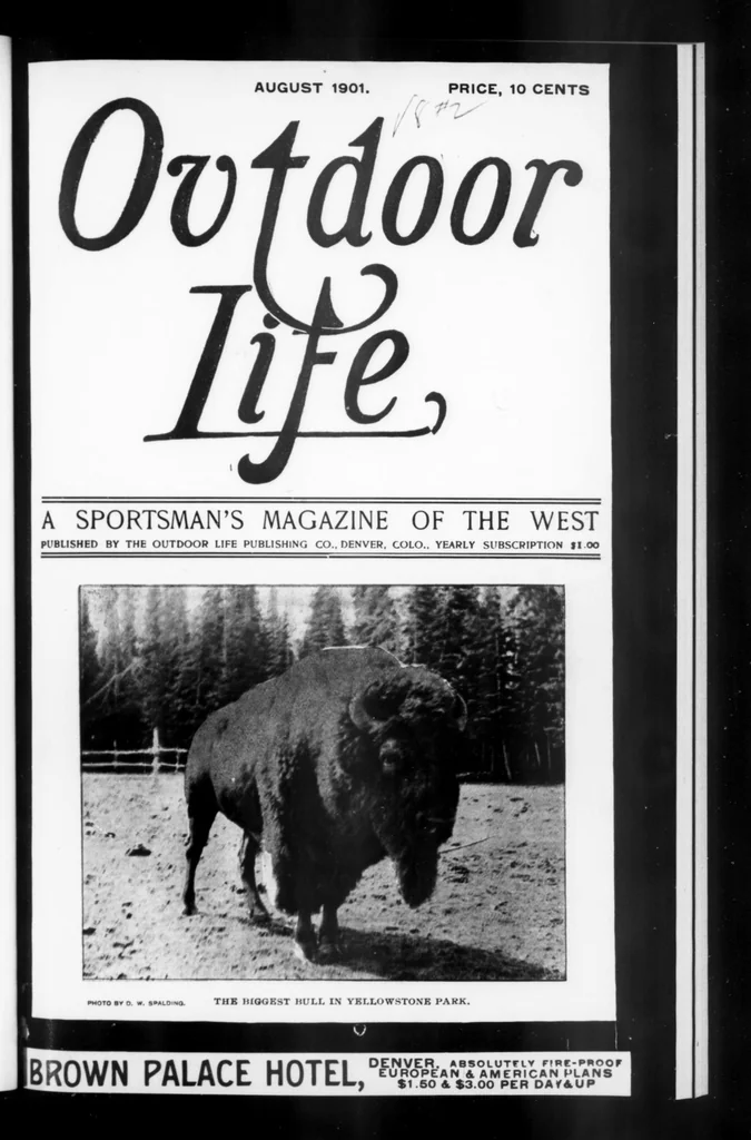 An illustration from Outdoor Life 1901-08: Vol 8 Iss 2, 1901, leaf 0
