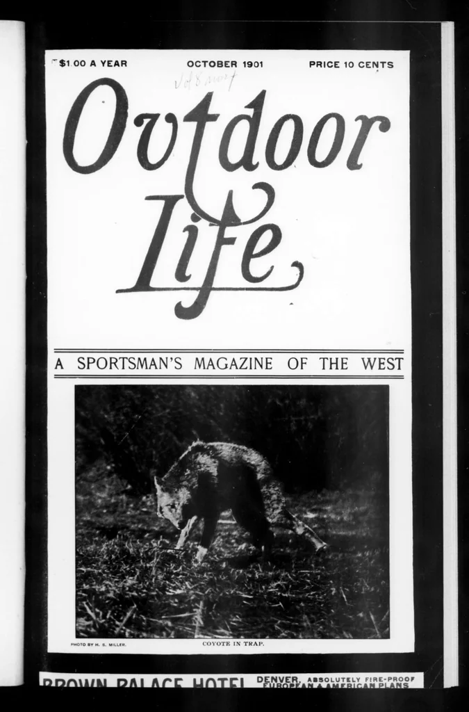 An illustration from Outdoor Life 1901-10: Vol 8 Iss 4, 1901, leaf 0