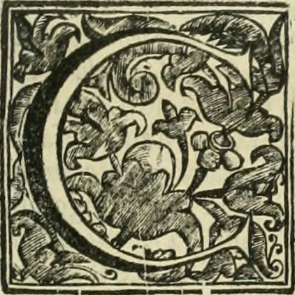 An illustration from Simboli predicabili estratti da sacri evangeli che corrono nella quadragesima, 1692, leaf 126
