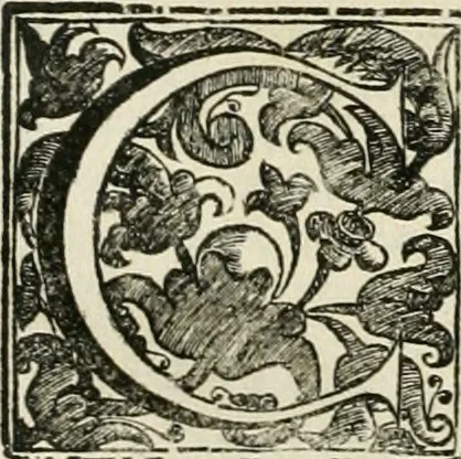 An illustration from Simboli predicabili estratti da sacri evangeli che corrono nella quadragesima, 1692, leaf 193