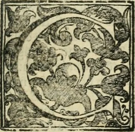 An illustration from Simboli predicabili estratti da sacri evangeli che corrono nella quadragesima, 1692, leaf 204