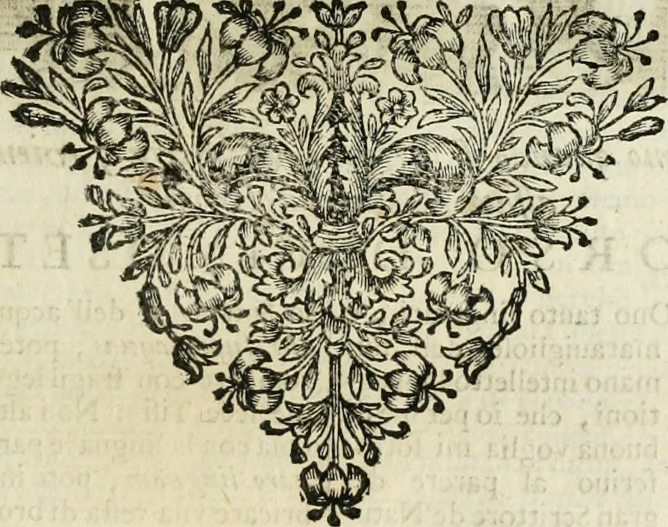 An illustration from Simboli predicabili estratti da sacri evangeli che corrono nella quadragesima, 1692, leaf 214