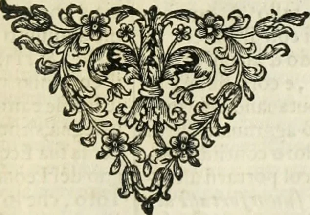 An illustration from Simboli predicabili estratti da sacri evangeli che corrono nella quadragesima, 1692, leaf 246