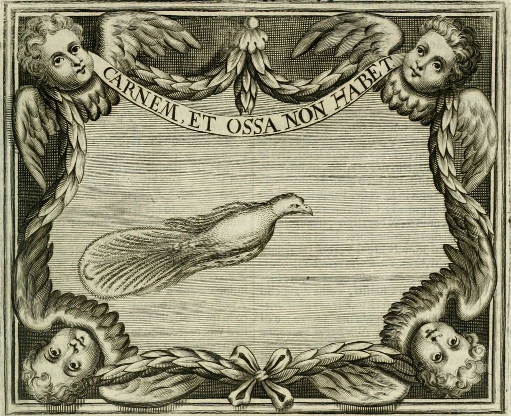 An illustration from Simboli predicabili estratti da sacri evangeli che corrono nella quadragesima, 1692, leaf 474