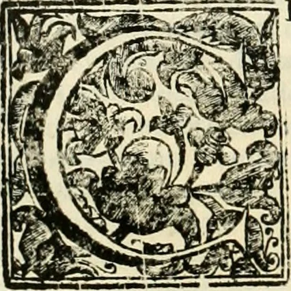 An illustration from Simboli predicabili : estratti da sacri evangeli che corrono nella quadragesima : delineati con morali, & eruditi discorsi, 1692, leaf 105