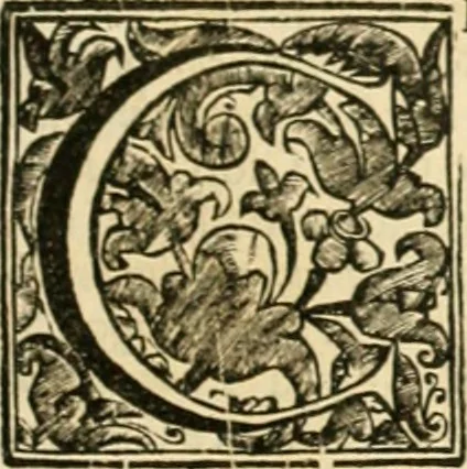 An illustration from Simboli predicabili : estratti da sacri evangeli che corrono nella quadragesima : delineati con morali, & eruditi discorsi, 1692, leaf 128