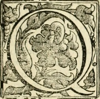 An illustration from Simboli predicabili : estratti da sacri evangeli che corrono nella quadragesima : delineati con morali, & eruditi discorsi, 1692, leaf 162