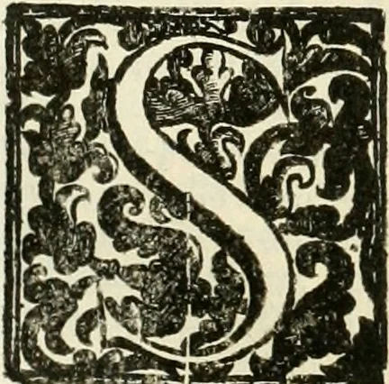 An illustration from Simboli predicabili : estratti da sacri evangeli che corrono nella quadragesima : delineati con morali, & eruditi discorsi, 1692, leaf 173