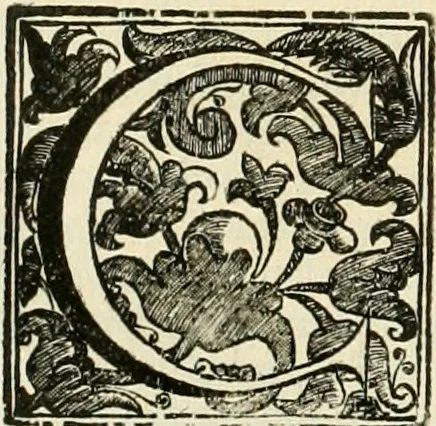 An illustration from Simboli predicabili : estratti da sacri evangeli che corrono nella quadragesima : delineati con morali, & eruditi discorsi, 1692, leaf 195