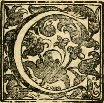 An illustration from Simboli predicabili : estratti da sacri evangeli che corrono nella quadragesima : delineati con morali, & eruditi discorsi, 1692, leaf 206