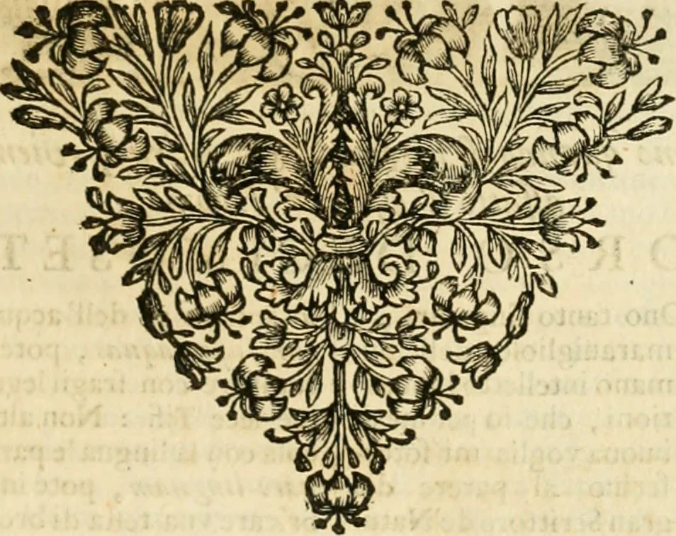 An illustration from Simboli predicabili : estratti da sacri evangeli che corrono nella quadragesima : delineati con morali, & eruditi discorsi, 1692, leaf 216