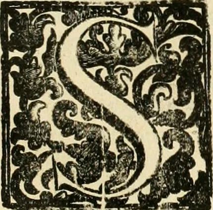 An illustration from Simboli predicabili : estratti da sacri evangeli che corrono nella quadragesima : delineati con morali, & eruditi discorsi, 1692, leaf 217