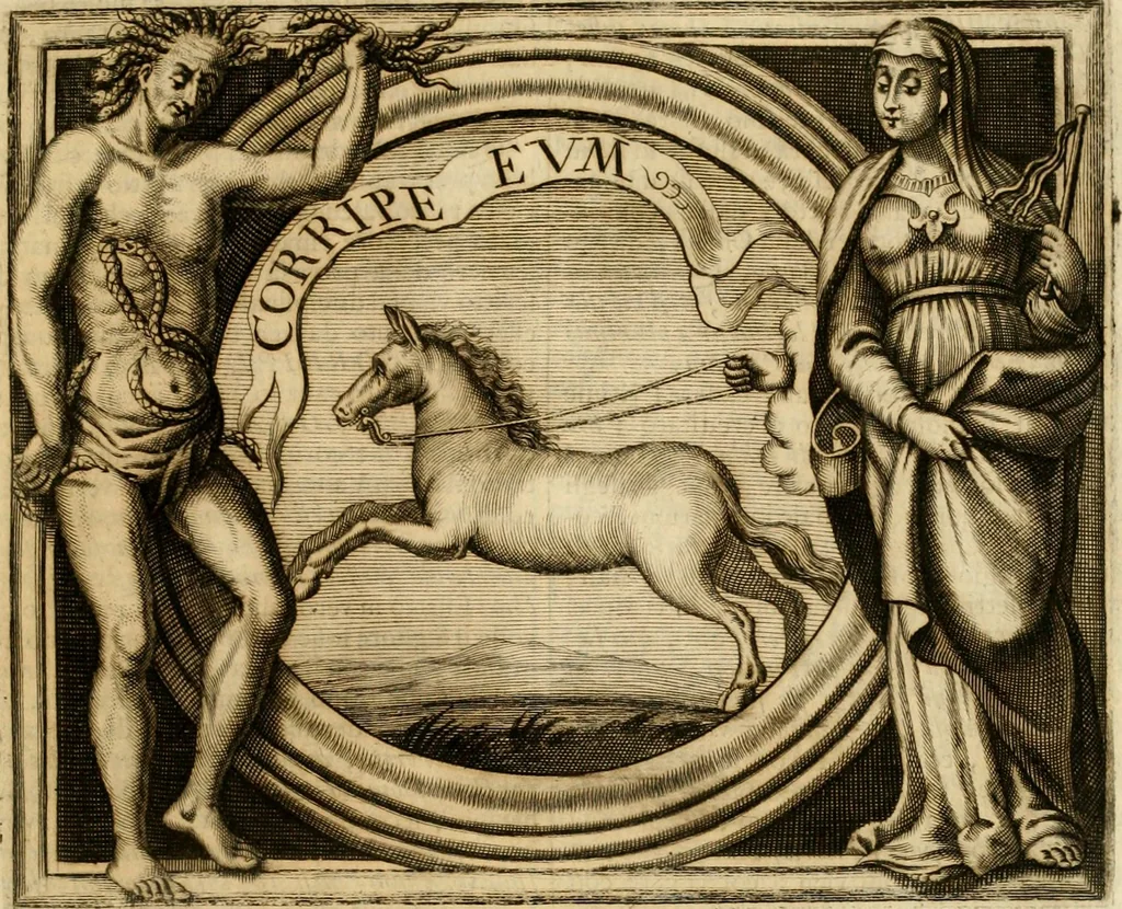 An illustration from Simboli predicabili : estratti da sacri evangeli che corrono nella quadragesima : delineati con morali, & eruditi discorsi, 1692, leaf 228