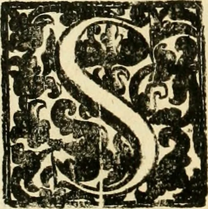 An illustration from Simboli predicabili : estratti da sacri evangeli che corrono nella quadragesima : delineati con morali, & eruditi discorsi, 1692, leaf 249