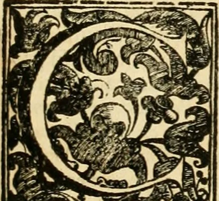 An illustration from Simboli predicabili : estratti da sacri evangeli che corrono nella quadragesima : delineati con morali, & eruditi discorsi, 1692, leaf 272
