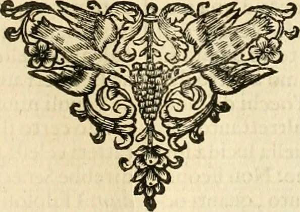 An illustration from Simboli predicabili : estratti da sacri evangeli che corrono nella quadragesima : delineati con morali, & eruditi discorsi, 1692, leaf 282