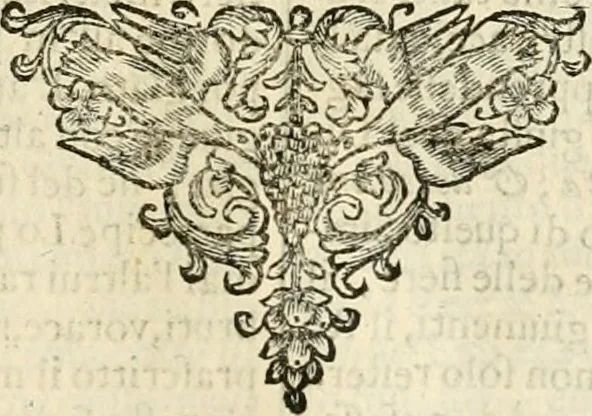 An illustration from Simboli predicabili : estratti da sacri evangeli che corrono nella quadragesima : delineati con morali, & eruditi discorsi, 1692, leaf 294