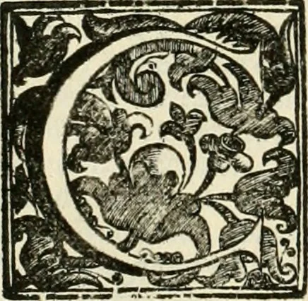 An illustration from Simboli predicabili : estratti da sacri evangeli che corrono nella quadragesima : delineati con morali, & eruditi discorsi, 1692, leaf 317