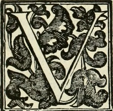 An illustration from Simboli predicabili : estratti da sacri evangeli che corrono nella quadragesima : delineati con morali, & eruditi discorsi, 1692, leaf 351