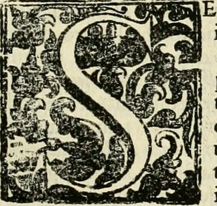 An illustration from Simboli predicabili : estratti da sacri evangeli che corrono nella quadragesima : delineati con morali, & eruditi discorsi, 1692, leaf 362