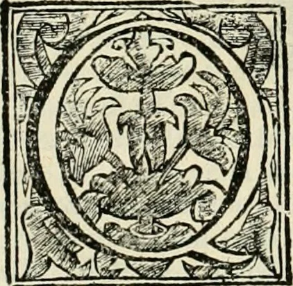 An illustration from Simboli predicabili : estratti da sacri evangeli che corrono nella quadragesima : delineati con morali, & eruditi discorsi, 1692, leaf 417