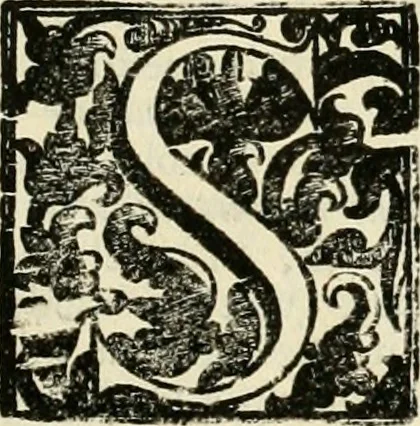 An illustration from Simboli predicabili : estratti da sacri evangeli che corrono nella quadragesima : delineati con morali, & eruditi discorsi, 1692, leaf 428