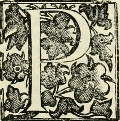 An illustration from Simboli predicabili : estratti da sacri evangeli che corrono nella quadragesima : delineati con morali, & eruditi discorsi, 1692, leaf 465