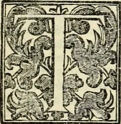 An illustration from Simboli predicabili : estratti da sacri evangeli che corrono nella quadragesima : delineati con morali, & eruditi discorsi, 1692, leaf 476