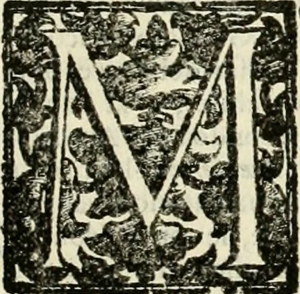 An illustration from Simboli predicabili : estratti da sacri evangeli che corrono nella quadragesima : delineati con morali, & eruditi discorsi, 1692, leaf 486