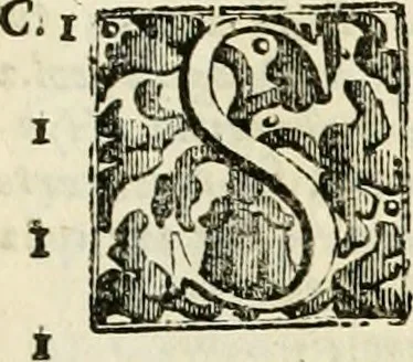 An illustration from Simboli predicabili : estratti da sacri evangeli che corrono nella quadragesima : delineati con morali, & eruditi discorsi, 1692, leaf 524