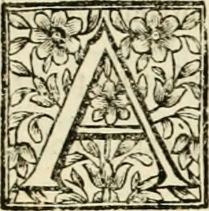 An illustration from Simboli predicabili : estratti da sacri evangeli che corrono nella quadragesima : delineati con morali, & eruditi discorsi, 1692, leaf 546