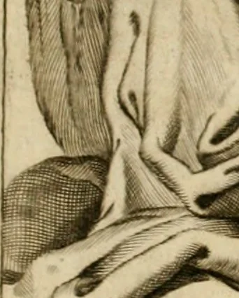An illustration from Simboli predicabili : estratti da sacri evangeli che corrono nella quadragesima : delineati con morali, & eruditi discorsi, 1692, leaf 6