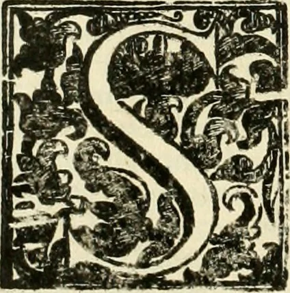An illustration from Simboli predicabili : estratti da sacri evangeli che corrono nella quadragesima : delineati con morali, & eruditi discorsi, 1692, leaf 69